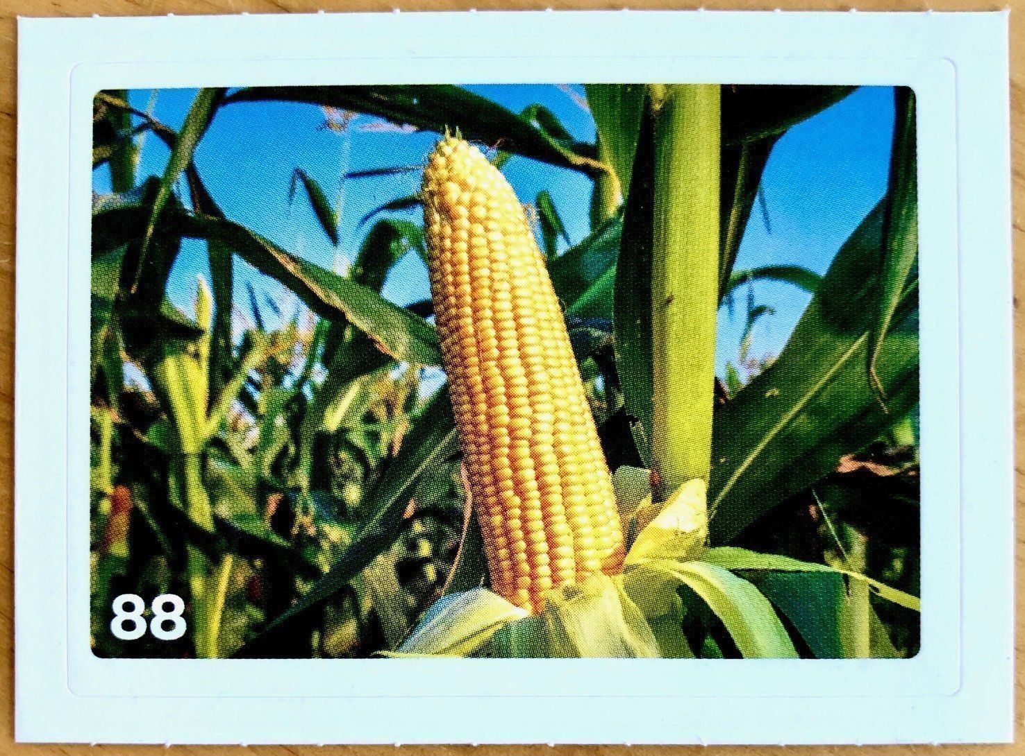 Migros Carte collezionabili: Migros Nature Detectives - Bild Nr. 88 – Nuovo (secondo la descrizione) da Oberrieden venduto da Zimmerberg10