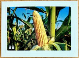 Migros Nature Detectives - Bild Nr. 88