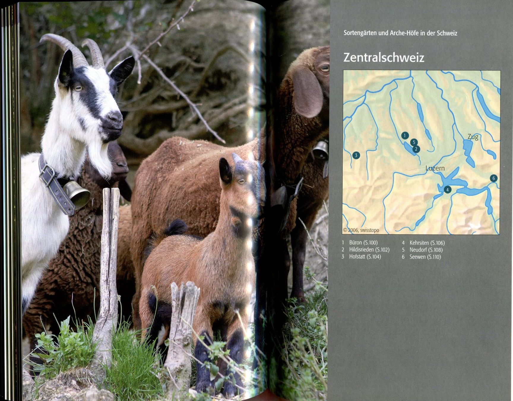 Bücher: Sortengärten und Arche-Höfe, ProSpecieRara – Gebraucht aus Aarau von Elmaar41 5