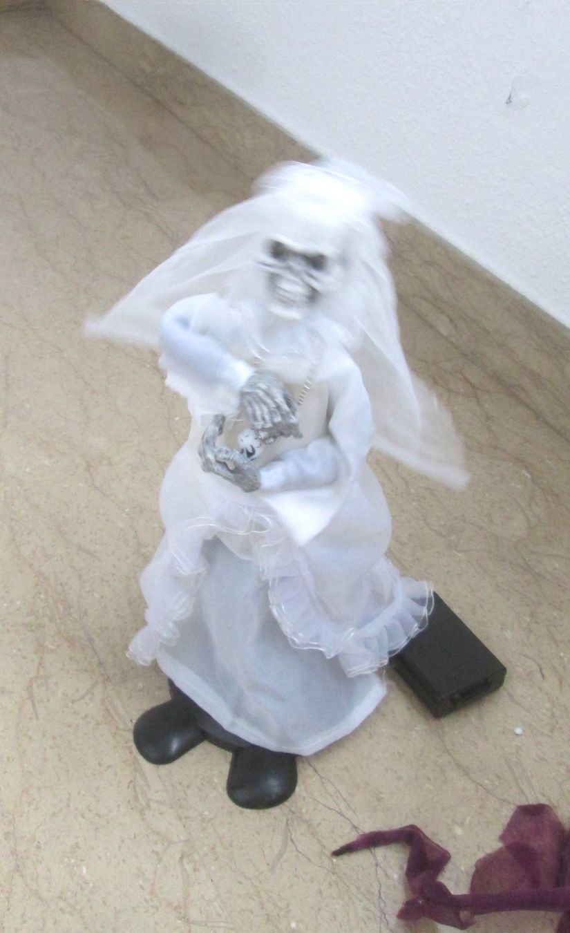 Tutte le decorazioni: Halloween-Dekoration – Usato da Sementina venduto da babucia 1