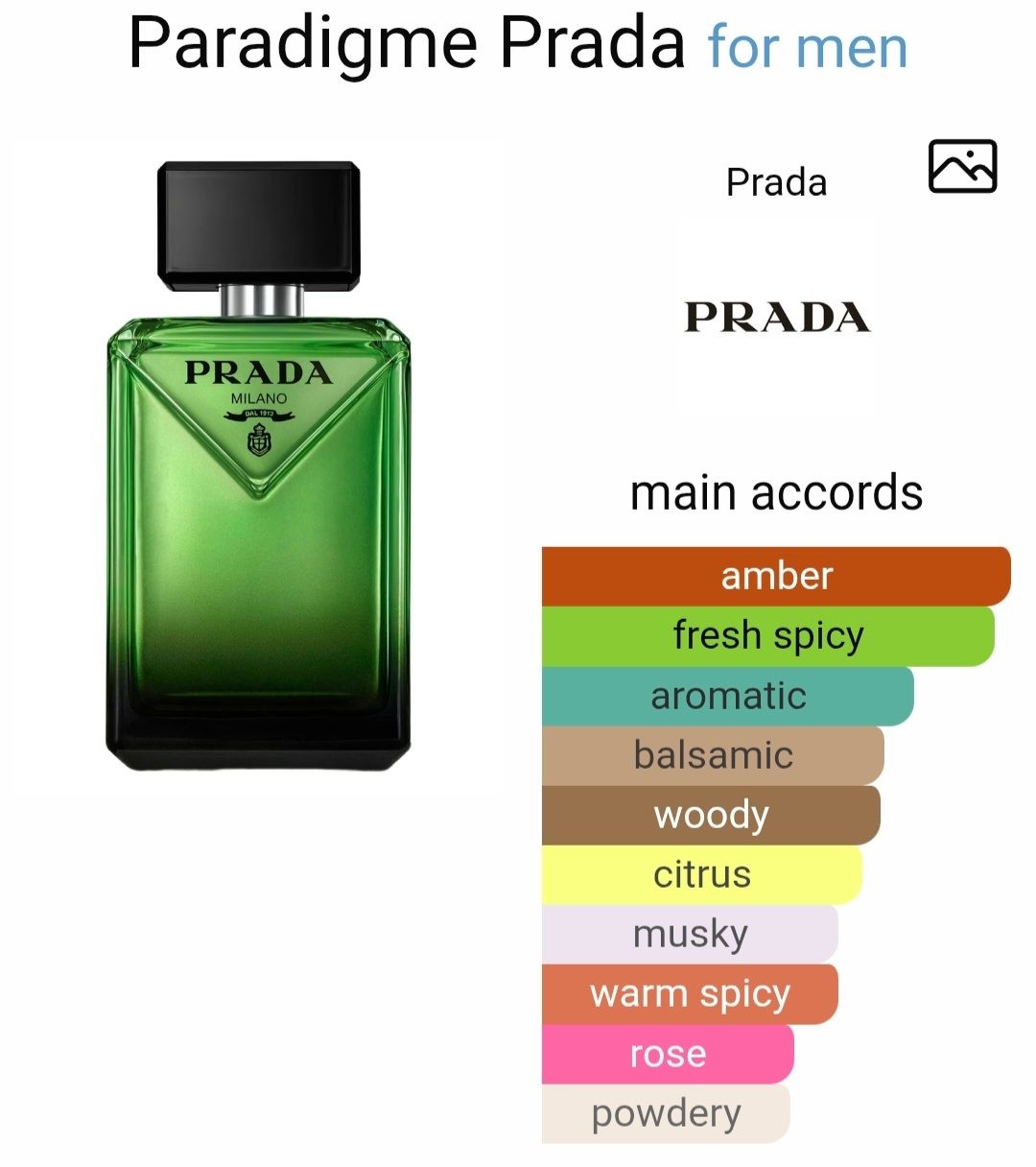 Prada Profumi & Eau de Toilette: PRADA Paradigme – Nuovo (secondo la descrizione) da Utzigen venduto da DRAGONY23 2