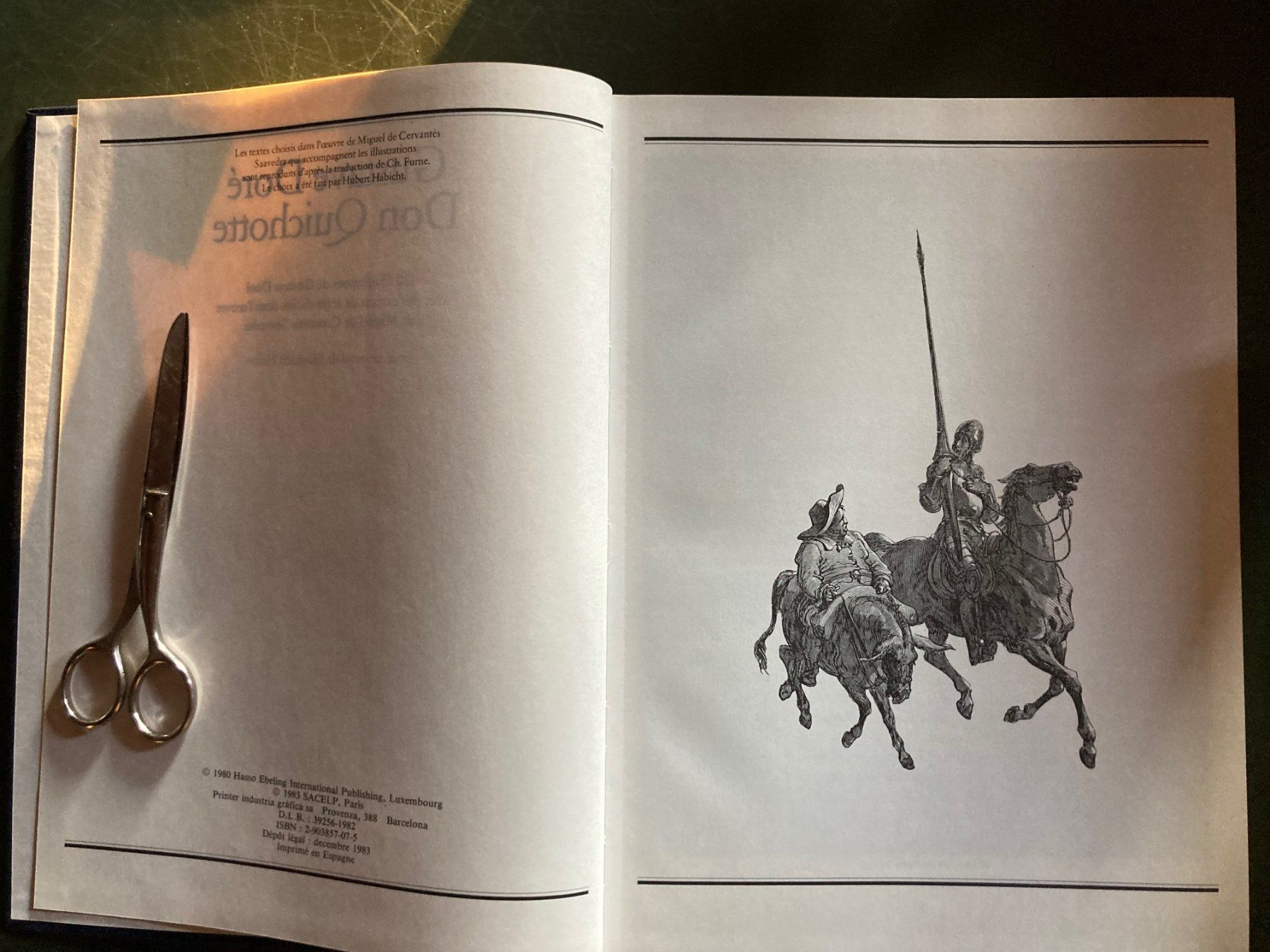 Libri: Don Quichotte - Gustave Doré, 120 illustrations – Usato da Romanel-sur-Lausanne venduto da seb_9c2t 2