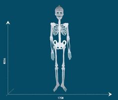 3x Halloween Deko Skelett Party Gruselig Dekoration Lehrmode