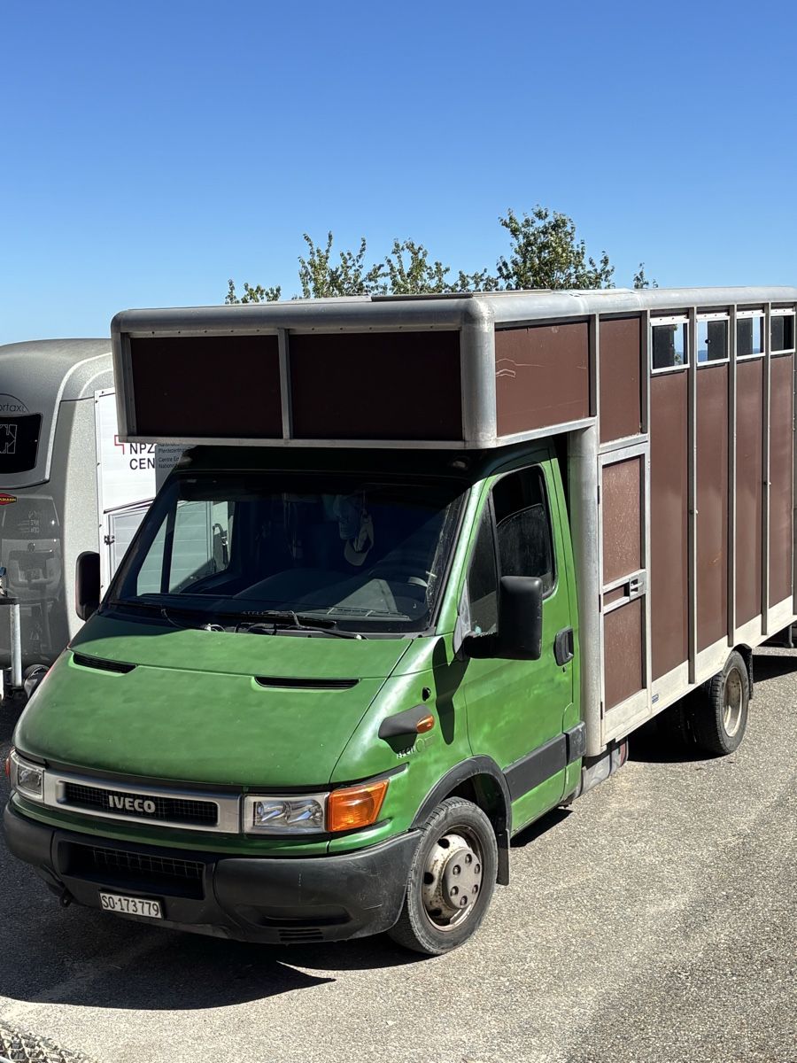 Iveco Veicoli commerciali: Pferdetransporter Iveco – Usato da Balsthal venduto da Mluethi