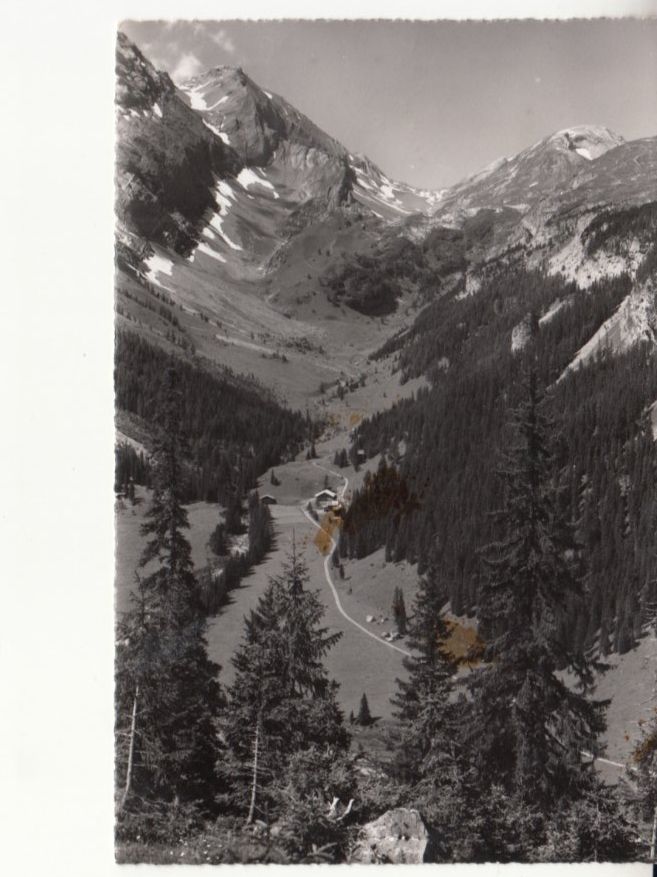 Cartoline postali: Iffigental 1954 – Usato da Bürglen TG venduto da StampGraf