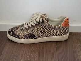 Baskets Scotch&Soda, taille 40, motif serpent, unisexes