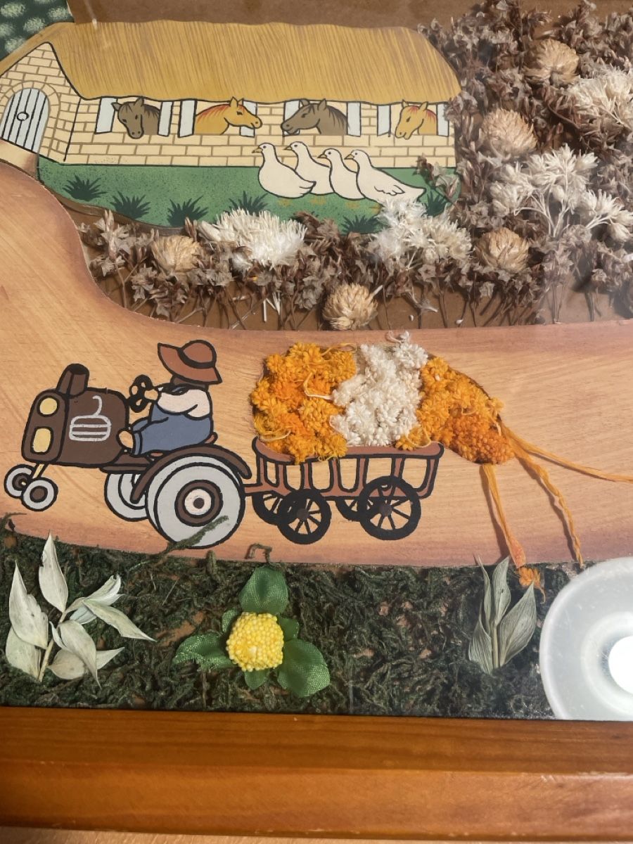 Toutes les décorations: Tablett – D'occasion à Holderbank AG par Hallo104 1