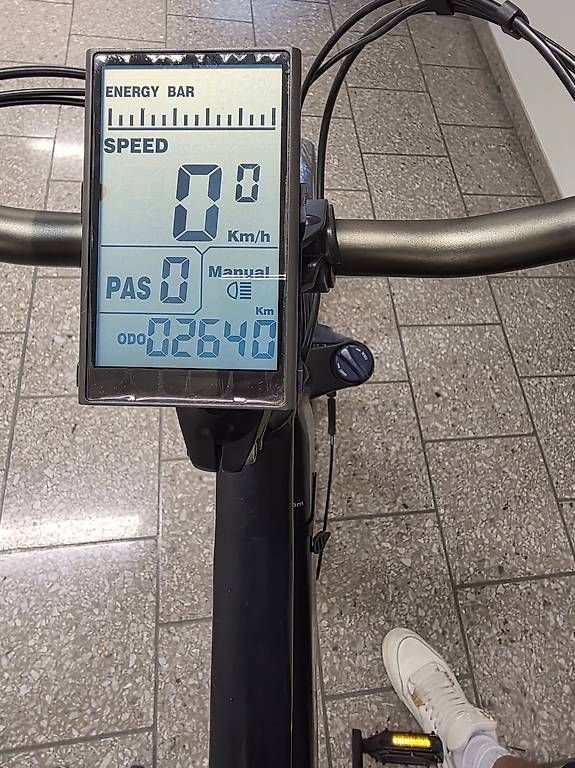 Biciclette: Ego Movement E-Bike 45 km/h – Usato da Kaiseraugst venduto da Jus_v7ts