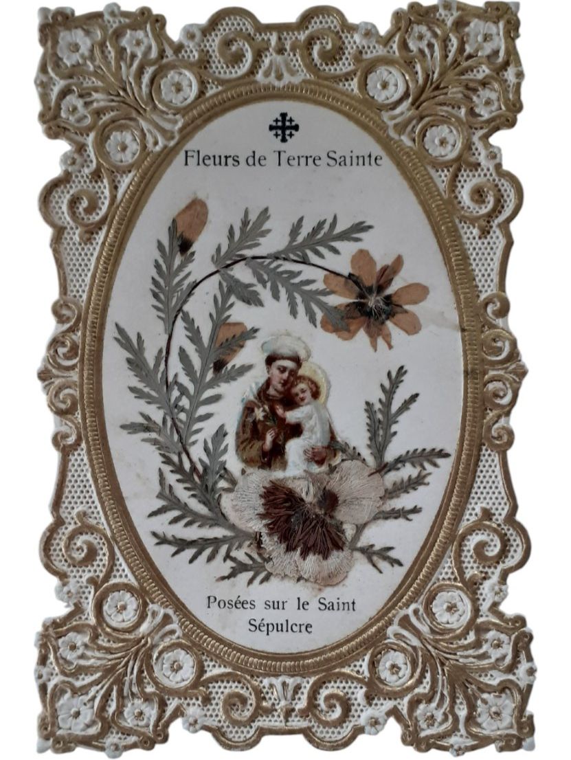 Incisioni: Andachtsbild Herbarium Heiliges Land – Usato da Mörschwil venduto da antiksalon21 3