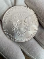 USA 1 Dollar 1 Unze 2010 STGL