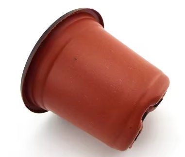 Vasi per fiori: 50x Pflanztopf Anzuchttopf 10cm – Nuovo e nell'imballaggio originale da Dintikon venduto da Prime-shop 3