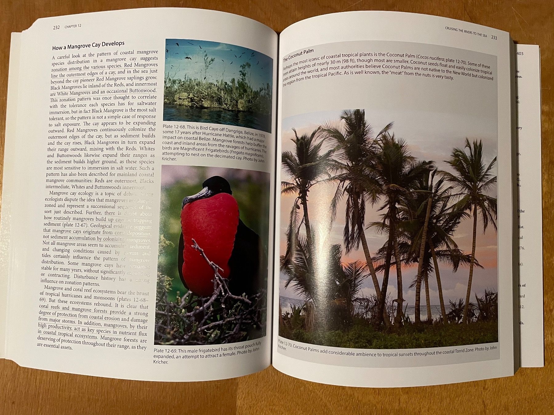 Libri: John Kricher. The Neotropical Companion – Usato da Zürich venduto da WWehrle 1