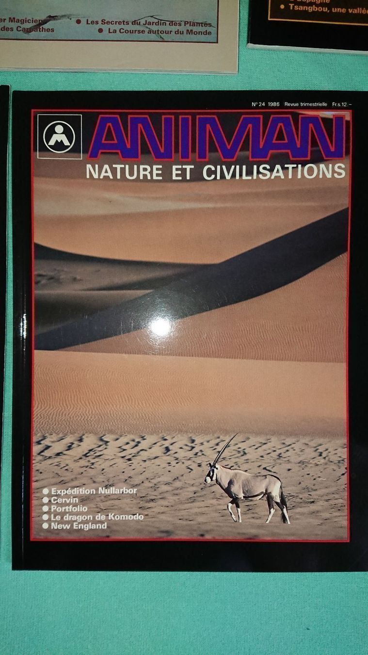 Riviste & Magazine: Animan / 7 Magazines – Usato da Cortaillod venduto da signep 2