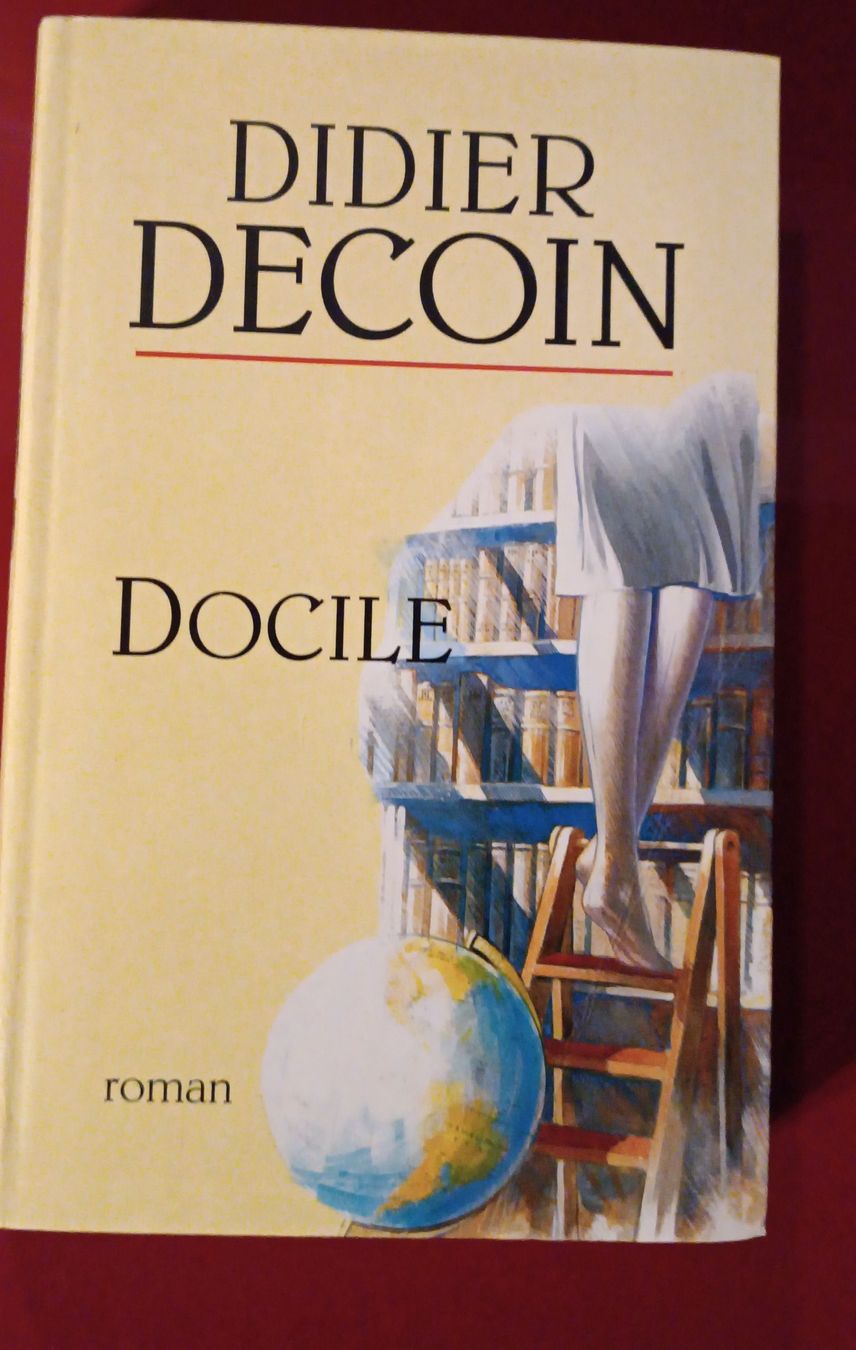 Libri: Docile - Didier Decoin - Roman – Nuovo (secondo la descrizione) da Cornaux NE venduto da Mimi983