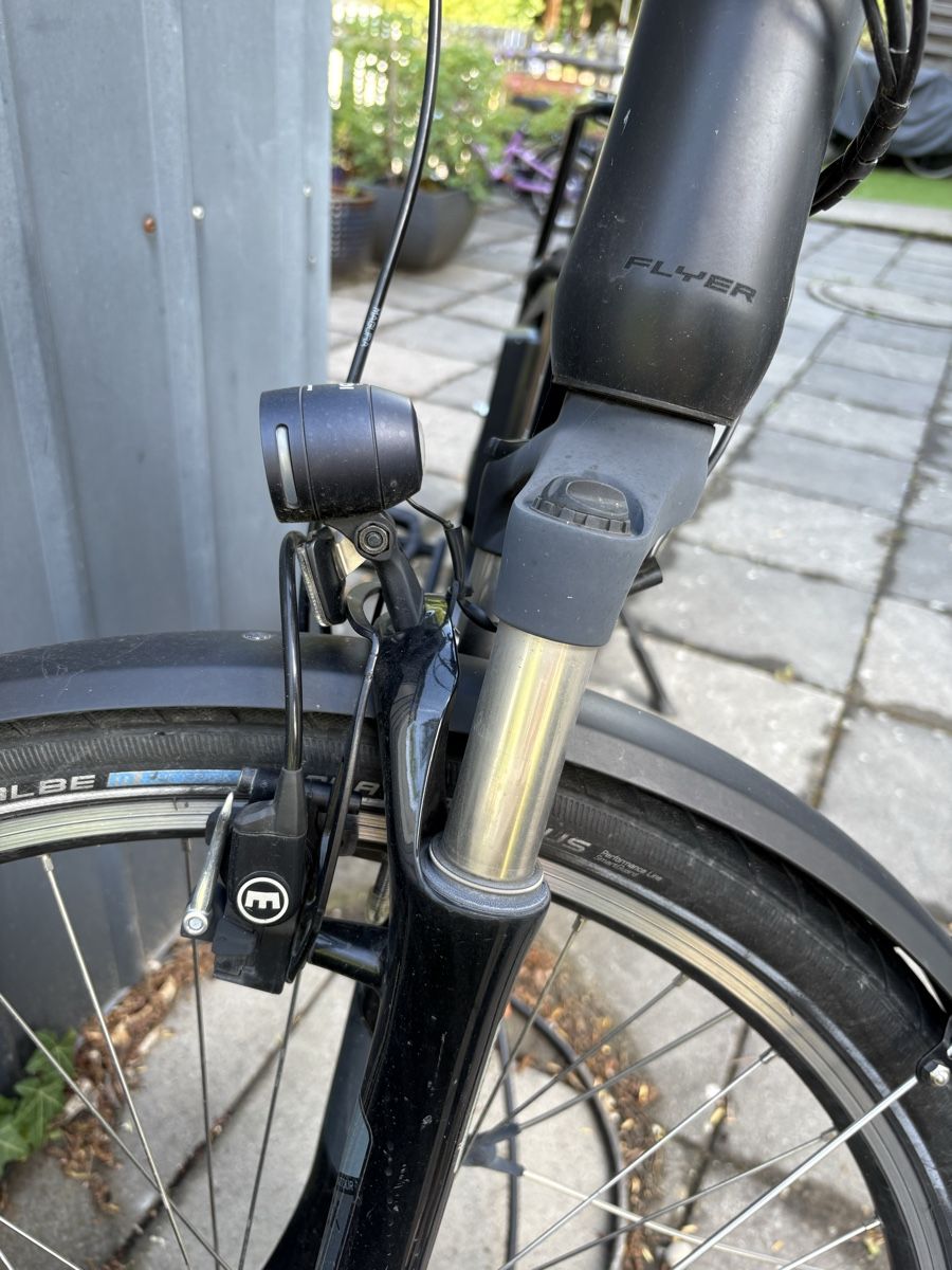 Flyer Biciclette: Flyer E-Bike defekt – Difettoso da Solothurn venduto da KariBa82 4