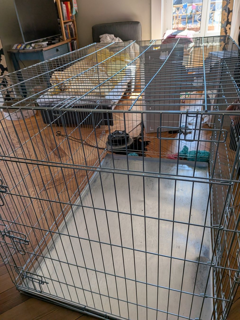 Gabbie, trasporto & Sicurezza: Cage d'intérieur Double Door pour chien – Usato da Genève venduto da sna_z2cl
