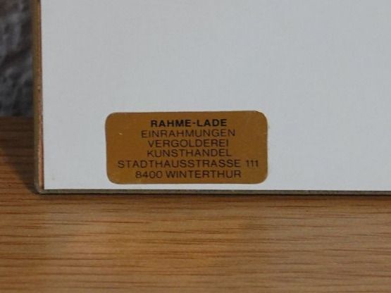 Grafica & Litografie: Bild aus Revue de la mode – Nuovo (secondo la descrizione) da Winterthur venduto da Minerva_59 2