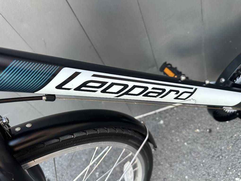 Biciclette: Bicicletta da uomo città Leopard 26  – Usato da Quartino venduto da DiloUsato 5