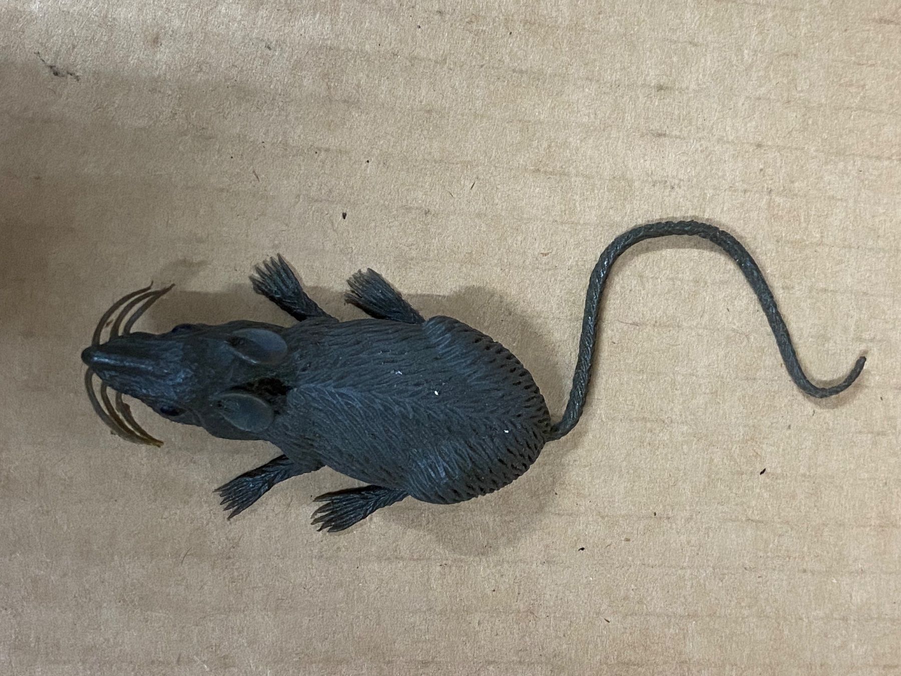 Statuette: Fasnachtsratte Plastik Quetschbar – Usato da Eschlikon TG venduto da ArtRec