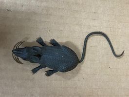 Fasnachtsratte Plastik Quetschbar