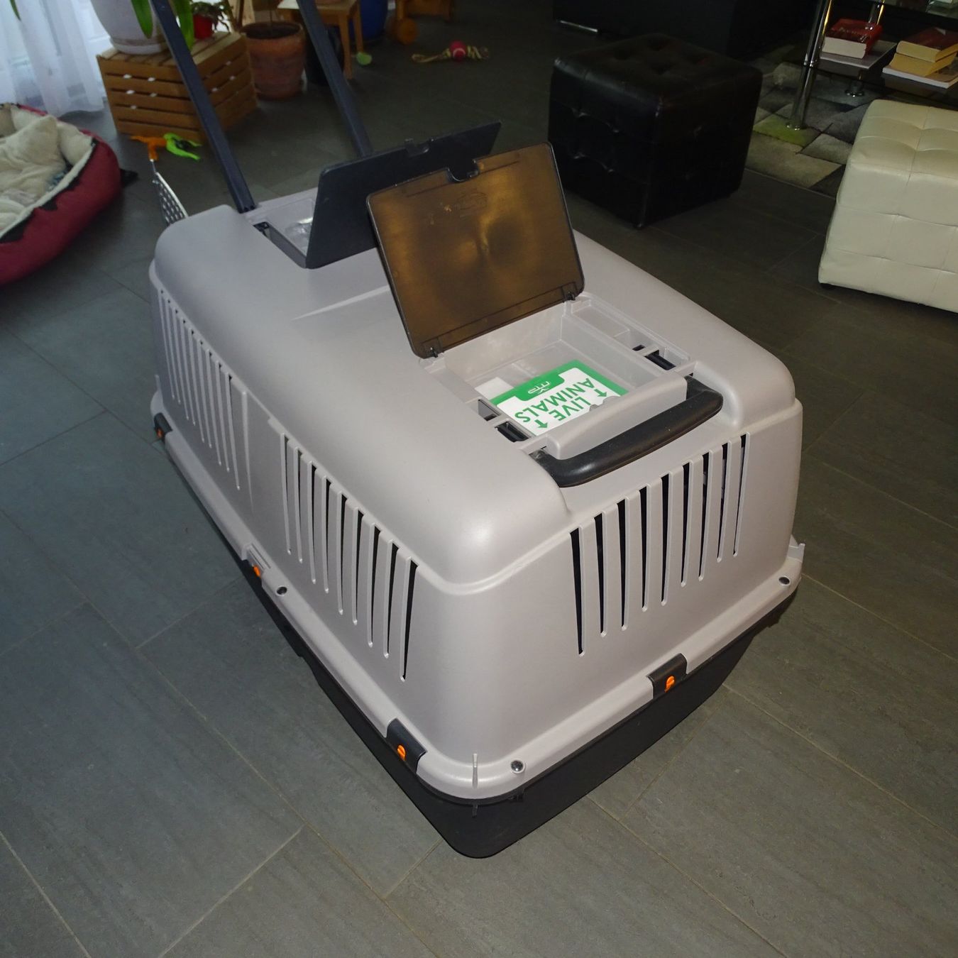 Sonstige Dekorationen & Accessoires: Grosse Hundebox – Neu (gemäss Beschreibung) aus Büetigen von Djtomekk1 6