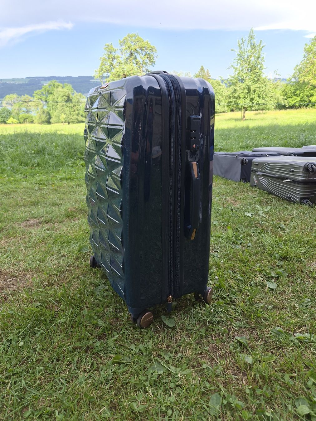 Valigie: IT luggage Koffer – Usato da Hochdorf venduto da TT_GARAGE 1