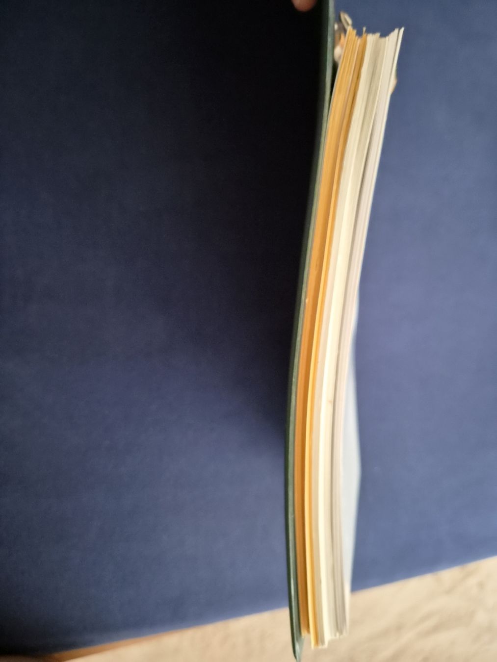 Libri: Rolex Oyster R 20 Katalog – Nuovo (secondo la descrizione) da Stäfa venduto da Brunati-Uhren 6