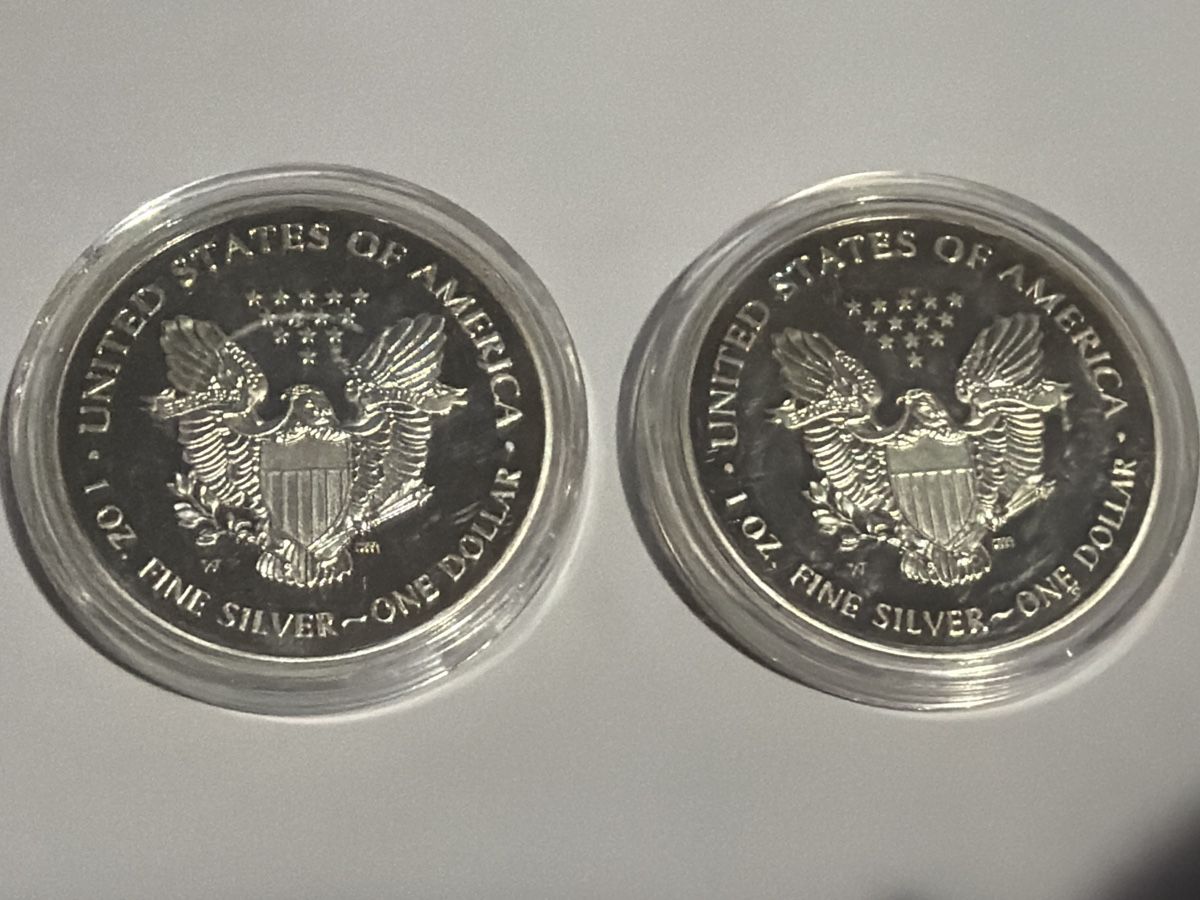 Tutti le monete: 2 Silber American Eagle 2021 – Usato da Hittnau venduto da Pat_yl7f 1