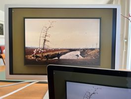 Apple Cinema Display 23"