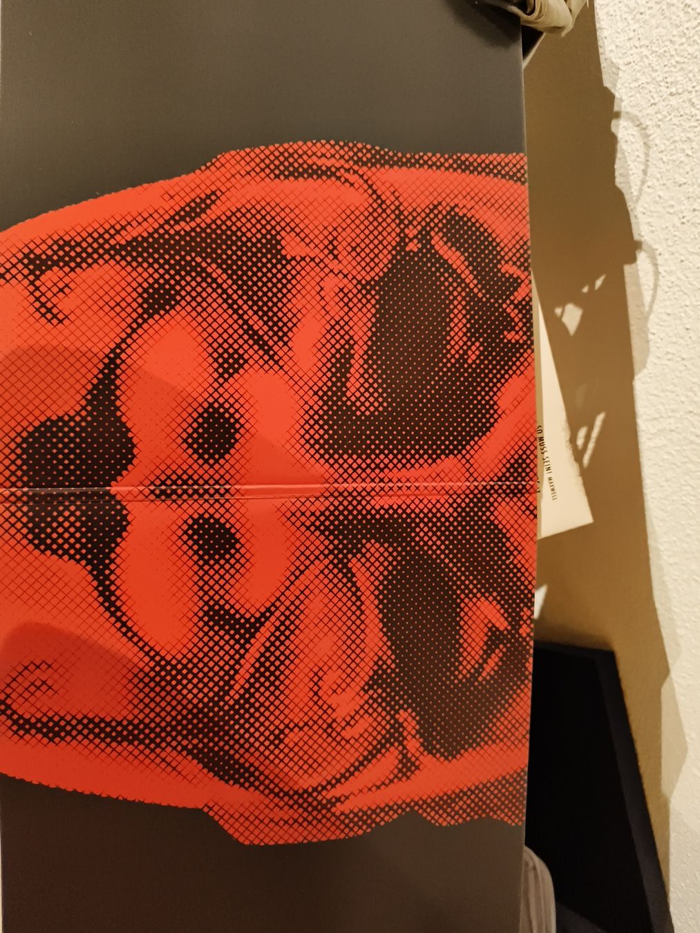 Dischi in vinile: Boris Brejcha - Feuerfalter Part 01 Vinyl – Usato da St. Gallen venduto da cesco__8 2