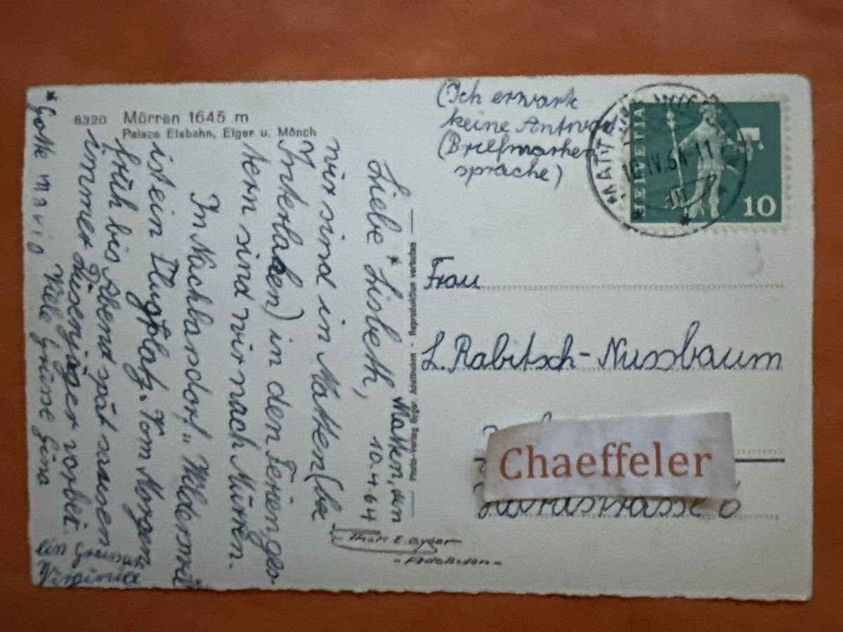 Cartoline postali: 1964 Mürren,  Palace Eisbahn. Eiger Mönch Jungfrau – Usato da Zürich venduto da Chaeffeler 1