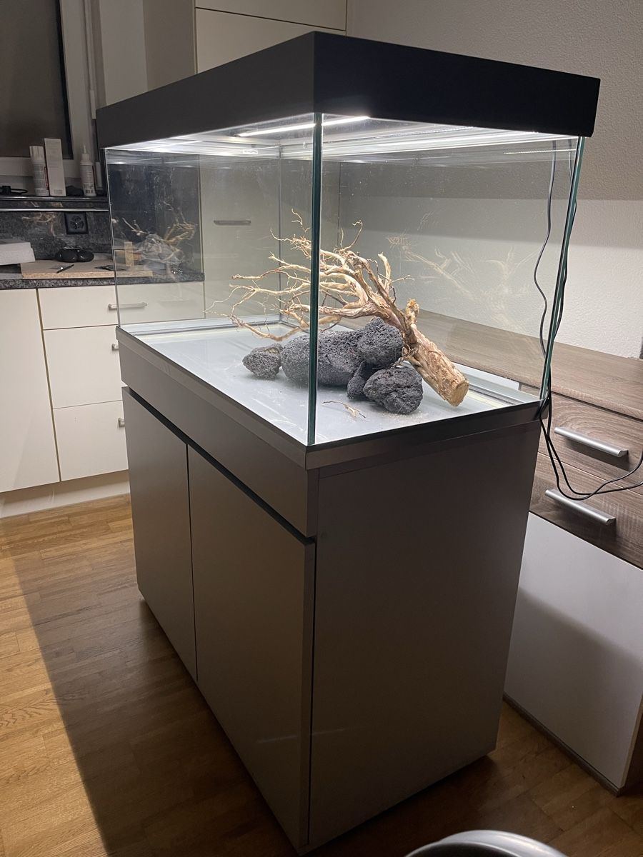 Eheim Acquari: Aquarium 🐠 250 Lt. – Usato da Hinwil venduto da ron_t8wh 1