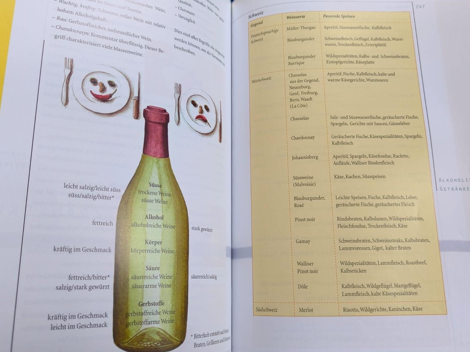 Libri: Service-Lehrbuch – Usato da Niederhasli venduto da Bella053 1