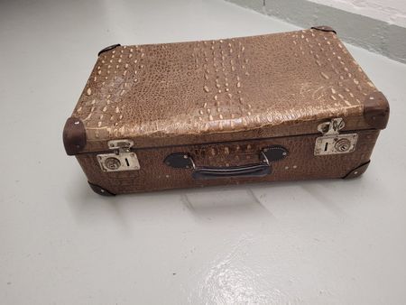 Vintage Koffer - Liebhaberobjekt
