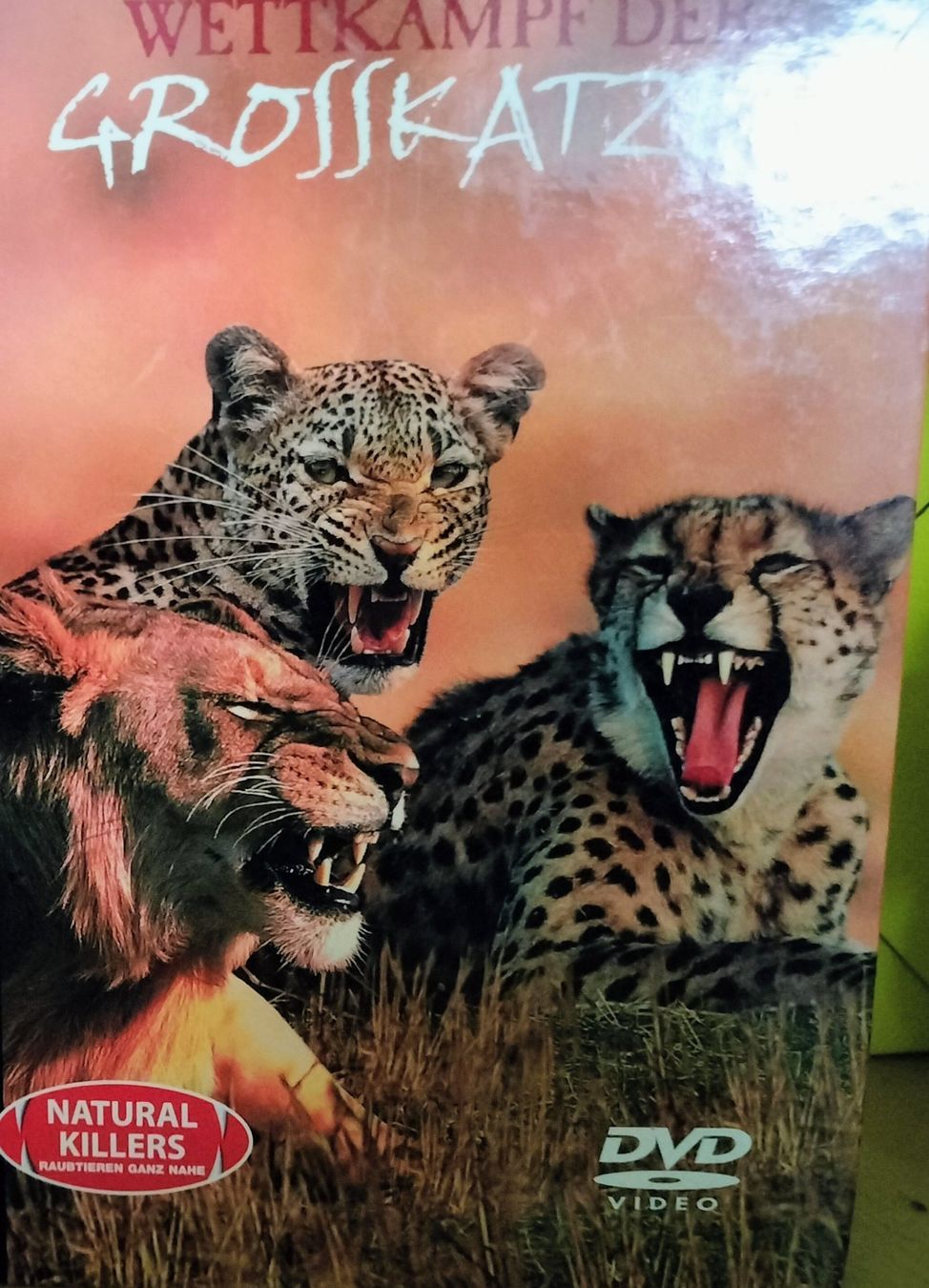 Tutti i DVDs: DVD Wettkampf der grosse Katzen – Usato da Heimberg venduto da Rockenrol