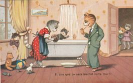 Katzen im Badzimmer