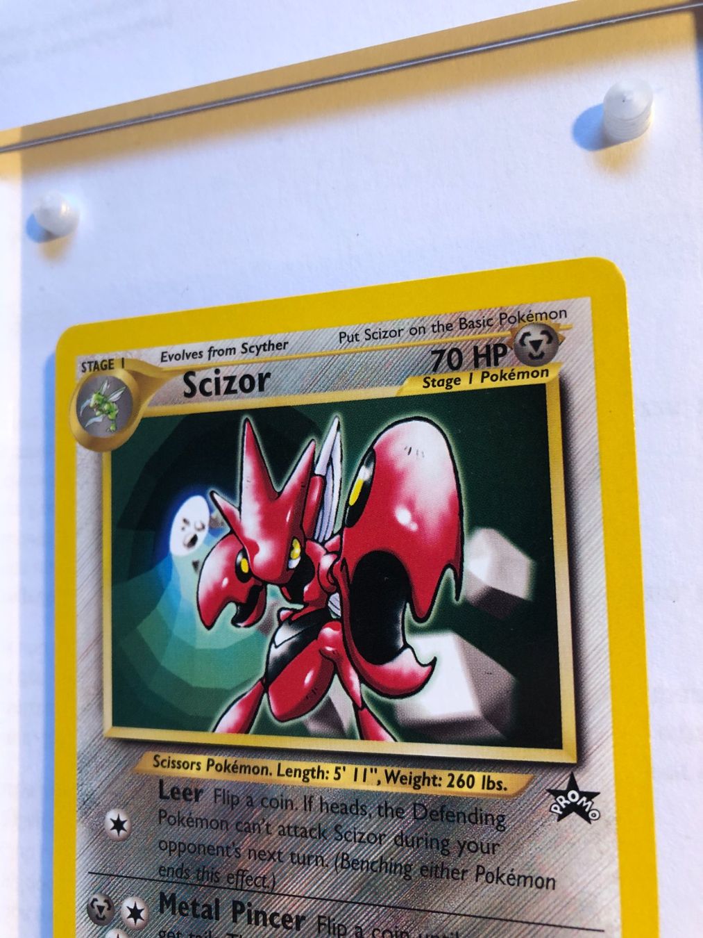 Carte collezionabili: Scizor Promo - MINT - ab 1.- – Usato da Giubiasco venduto da dan_pr8b 3