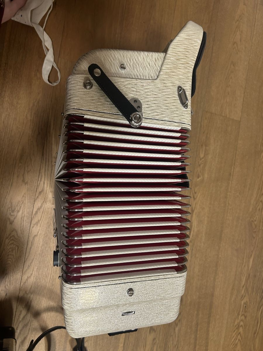Musikinstrumente: Akkordeon Bompezzo, Castelli, 120 Bass – Gebraucht aus Herzogenbuchsee von bal_dg62 2