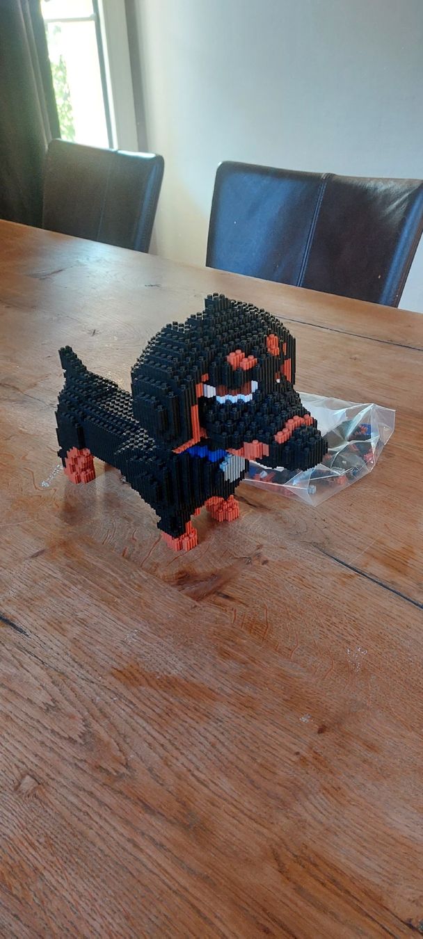 Kit di costruzioni: 3D Hund Bausatz mit Bausteinen – Usato da Burgdorf venduto da Hackbraten 1