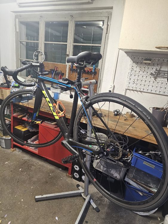 Fuji Biciclette: Rennvelo LTD Fuji Carbon – Usato da Buchrain venduto da Birkan199 7