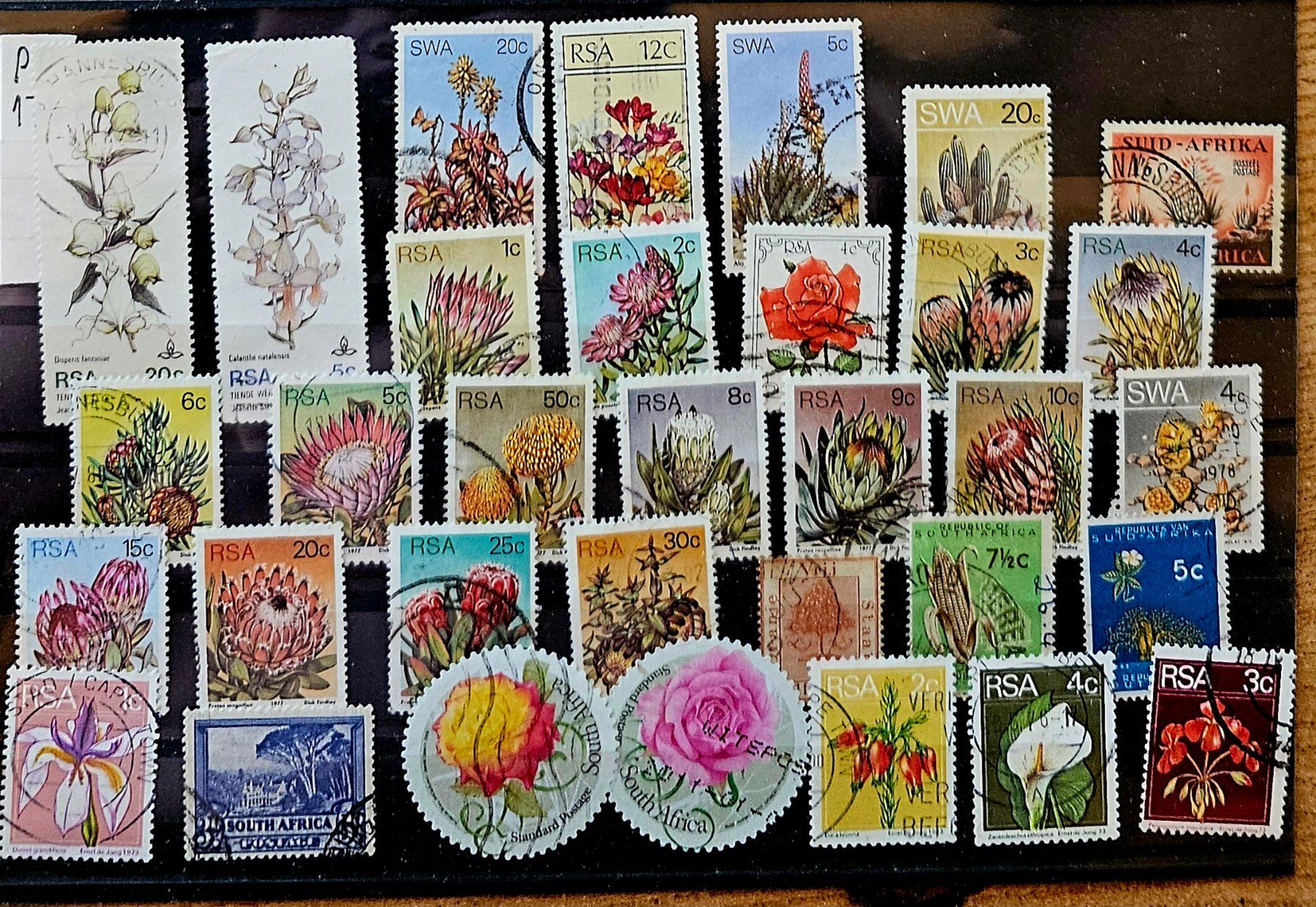 Tous les timbres: SUDAFRIKA -  Motive Blumen – D'occasion à Les Valettes par Nuba1