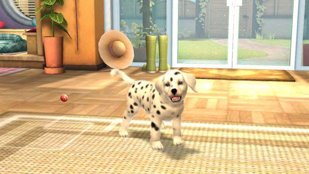 Nintendo Giochi: Petz Tierisches Strandleben  3DS – Usato da Schüpfheim venduto da Games_Spielkonsolen 3