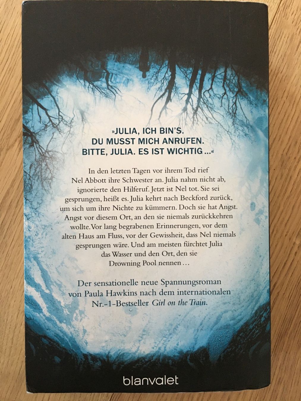 Libri: Into the water – Usato da St. Niklausen LU venduto da sterala 1