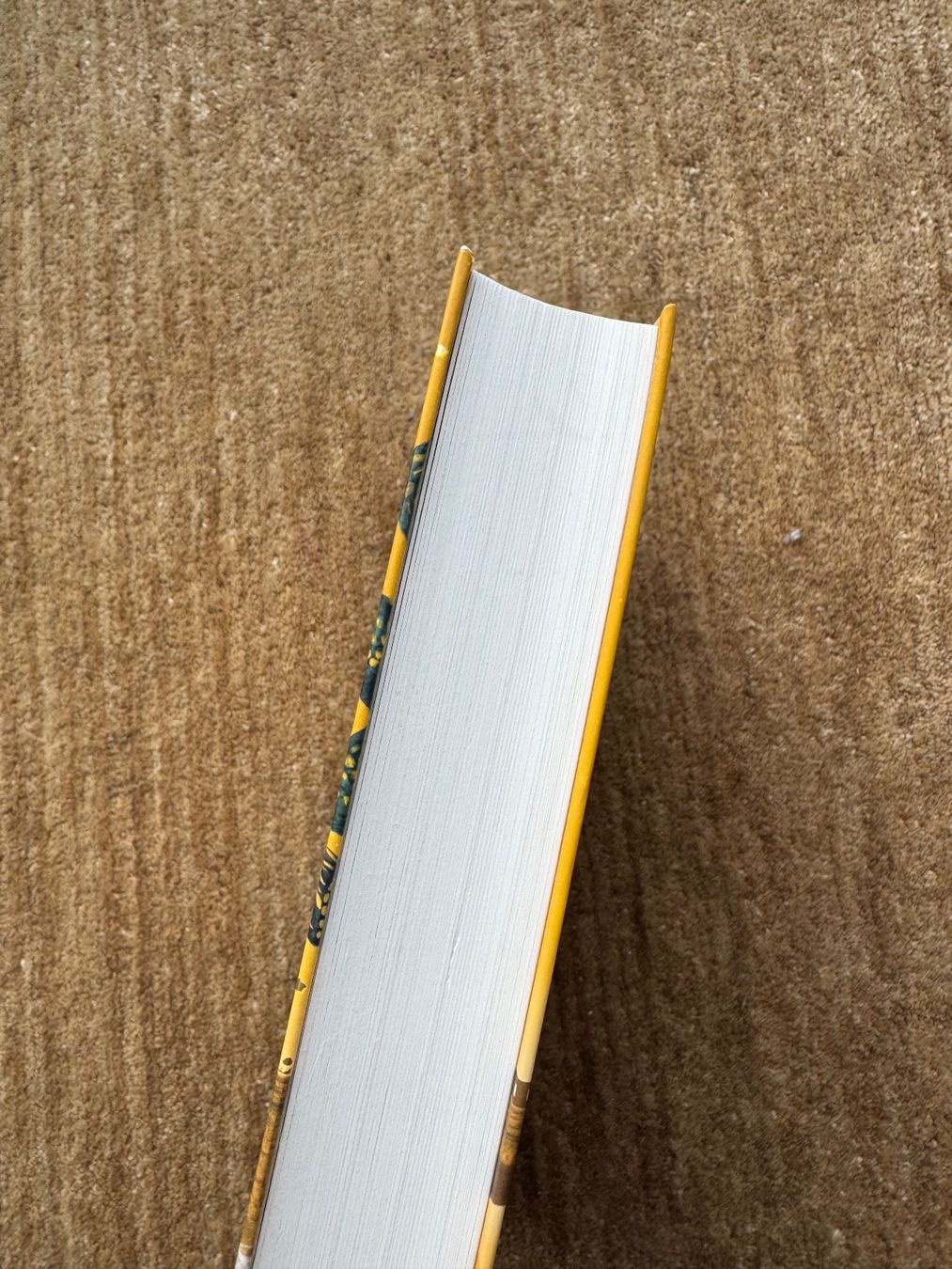Libri: Buch: Der Weltenexpress Band 2 – Usato da Aarau venduto da Kilauea 1