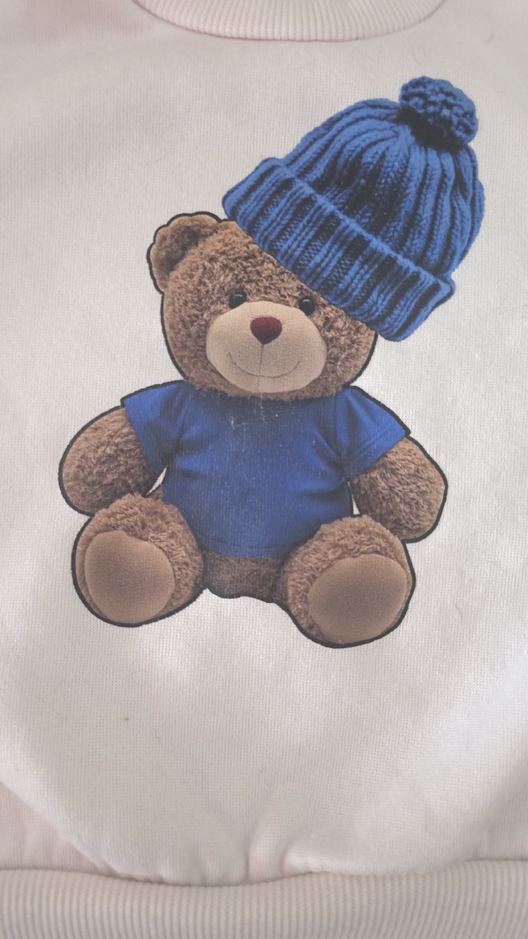 Pullover & Sweatshirts: Kinder Pullover,weiss, Bärenmotiv  – Neu (gemäss Beschreibung) aus Boll von Julia41 1
