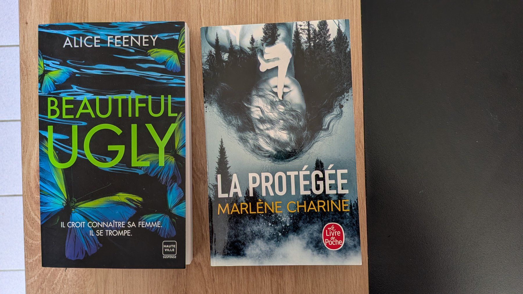 Libri: -2- romans policiers / thrillers – Usato da Villariaz venduto da Mariejoconde