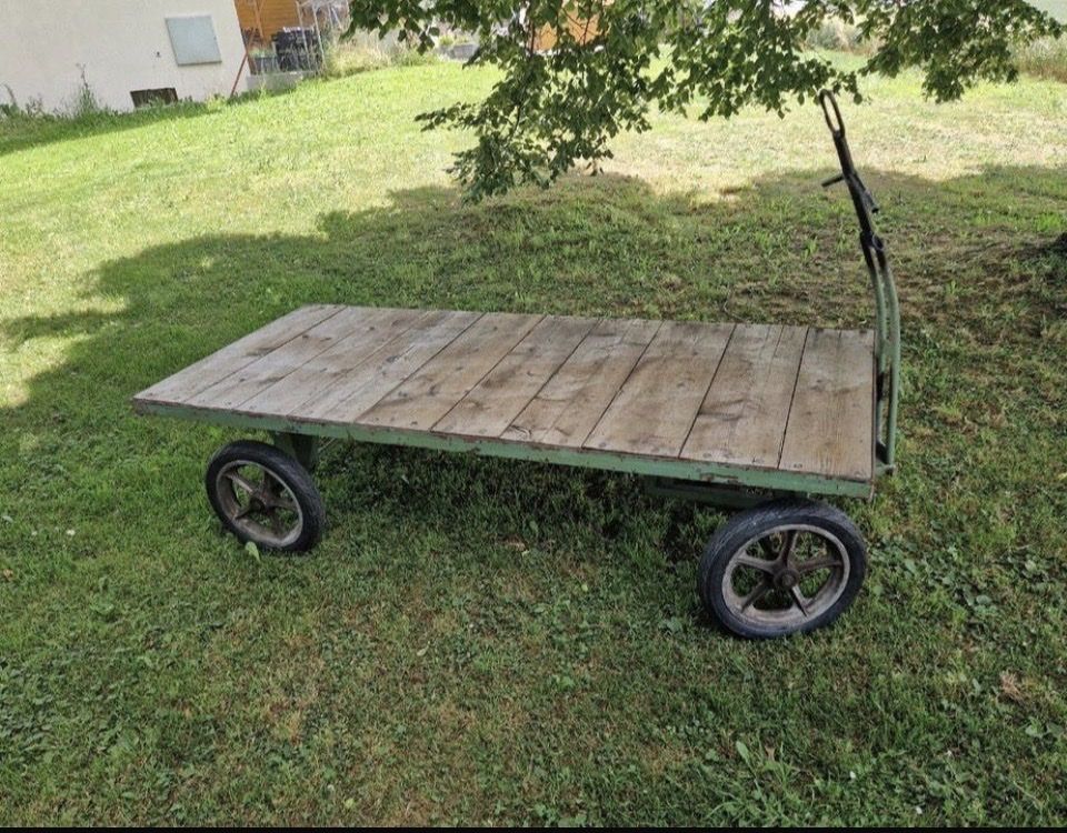 Chariots de transport: Leiterwagen – D'occasion à Regensdorf par Marzipan85 5