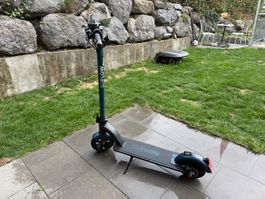 Elektrotrottinett, Elektroscooter, E-Scooter