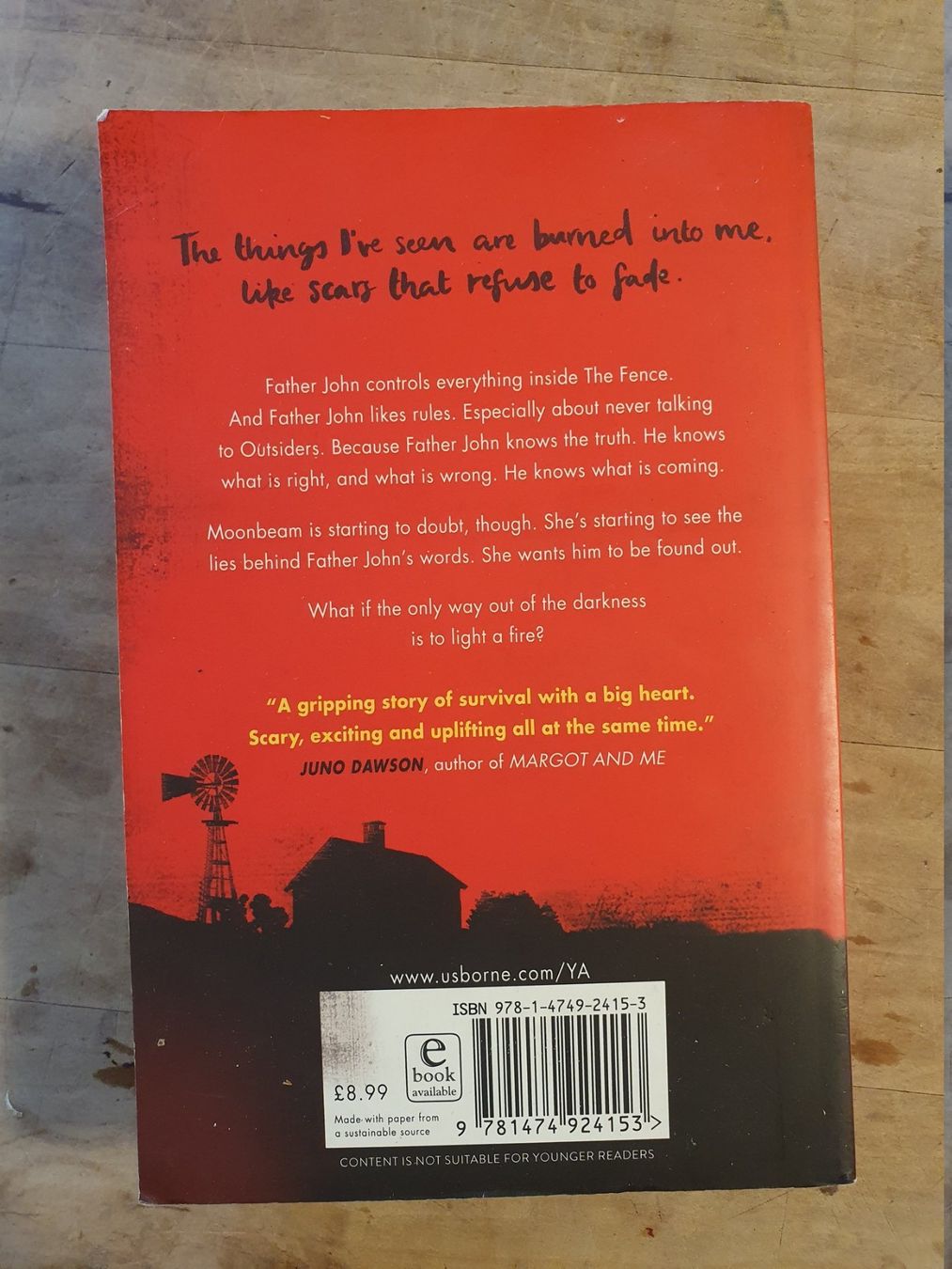 Libri: After The Fire - Will Hill - Usborne – Usato da Zürich venduto da loosebone 2
