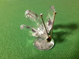 SWAROVSKI, Gartenzeit, Schmetterling 4,5x5cm, Vitrinenmodell
